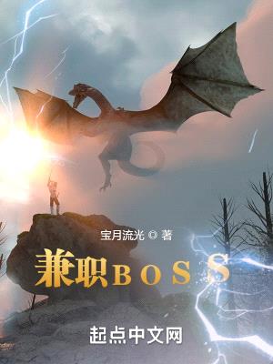 兼职BOSS